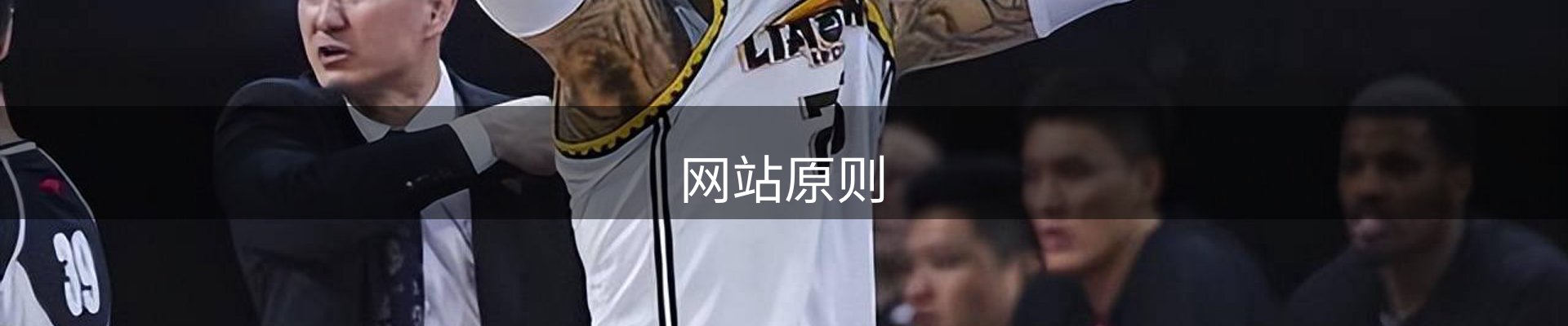 网站原则